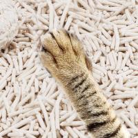 Litte de chat de haute qualité biodégradable à base de tofu Blanc Litte de chat à faible traçabilité