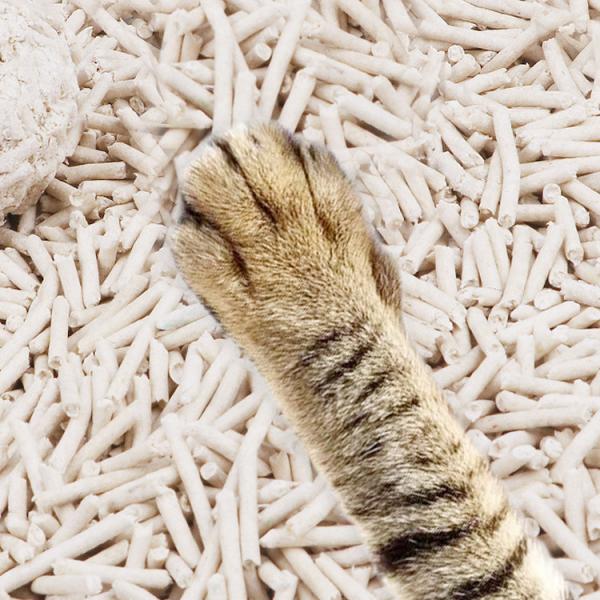 Free Design Coffee Apple Lavender 6l  Bulk Cat Litter Wholesale
