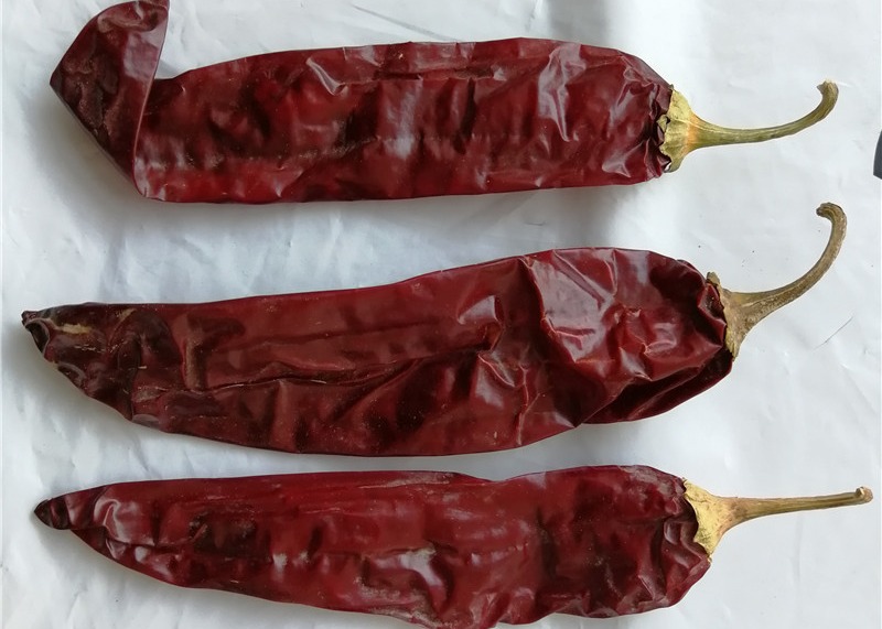 XingLong высушило перцы паприки 16CM обезводило красные стручки Chili