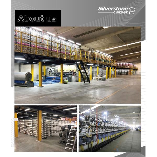 Fireproof Banquet Room Hotel Carpet with Medium Pile Height and 3D Printed Design