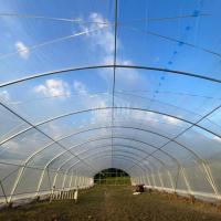 Ventilation des côtés en rouleau Serre durable Serre en tunnel haut pour la ferme
