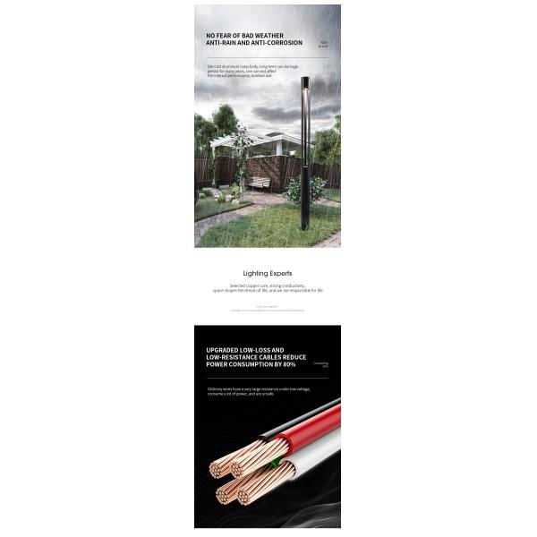 30w 20w 10w Led Outdoor Garden Light Yard Height 2.5m 3m 3.5m 4m