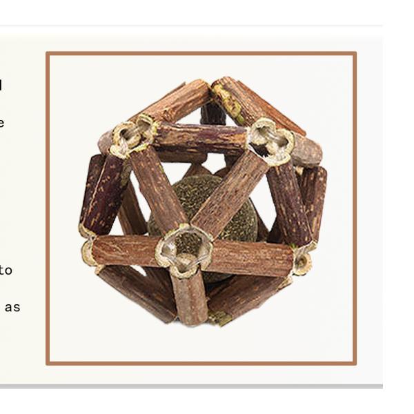 Silvervine Cat Toy for Self Play and Teeth Cleaning Made from Natural Polygonum Arboreum