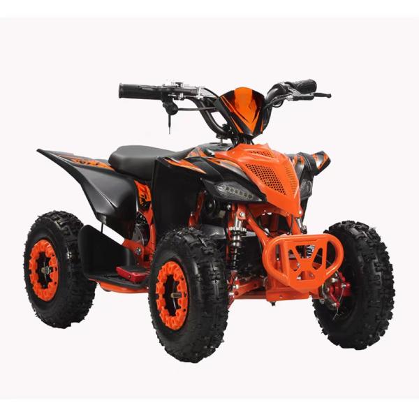 2WD Aotong Motor 800w1000W 36V Off Road Quad ATV Quad Bikes with Chain Transmission