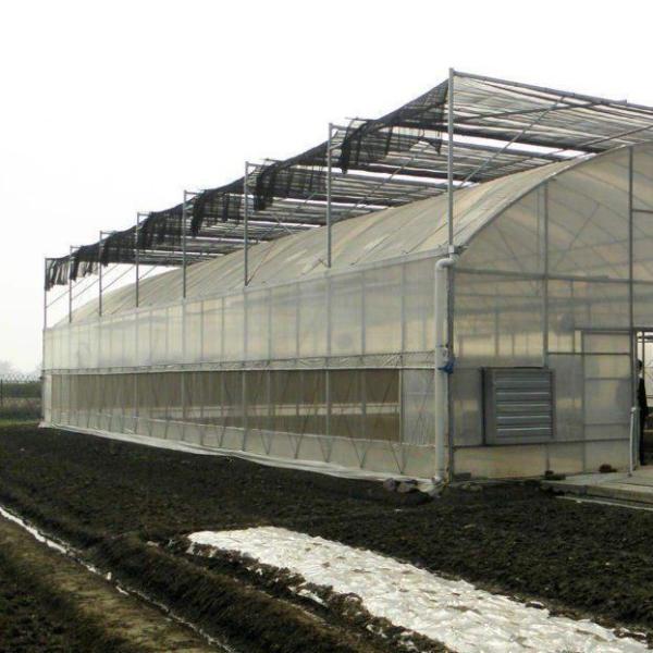 Plastic Greenhouse Department Multi-Span Po/PE Commercial Greenhouse with Hydroponics