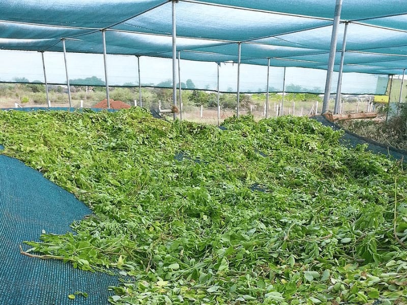 Wholesale Shade Net Or Garden Green Sun Shade Cloth Netting For Sale Factory Agriculture 3 Needles 70GSM Green Tape Shade Net Flat Tape Black Shade Cloth