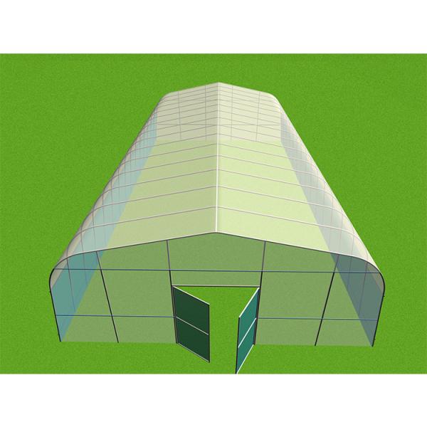 1m recubrimiento de zinc 275gm invernadero de hierro forjado para pato o pollo