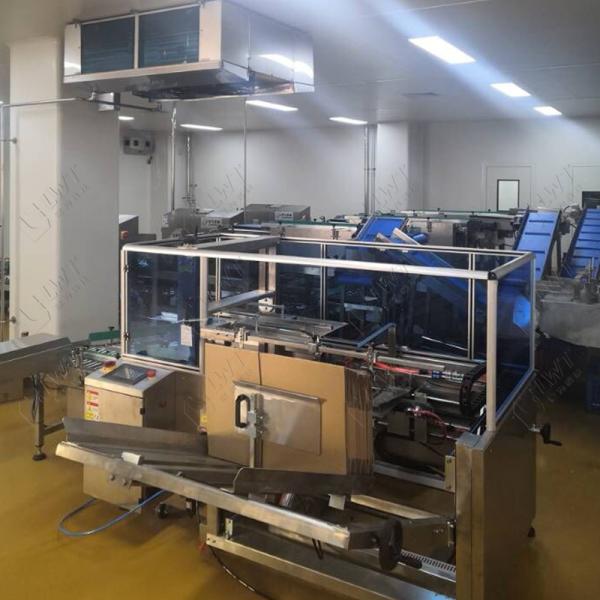 Линия для производства свиных ребрышек в пакетиках с кисло-сладкой начинкой