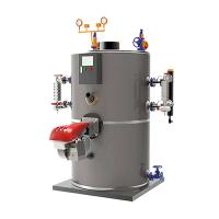 Caldas de vapor de 1 t/h industriais de pequena dimensão 50 HP Geradores de vapor a gás