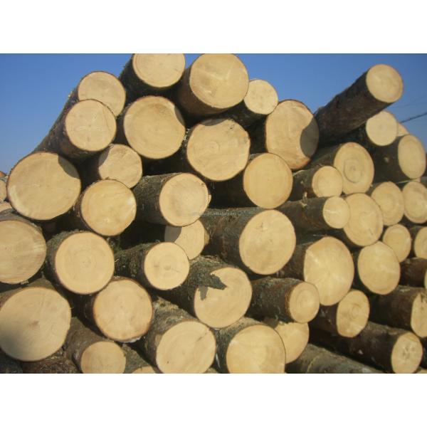 1 Metal Pipe Steel Cutting Blade Wood Panels For Furniture