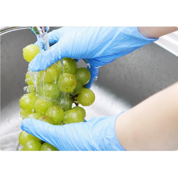 Comfortable Disposable Medical Gloves , Tear Resistant Disposable Sterile Gloves