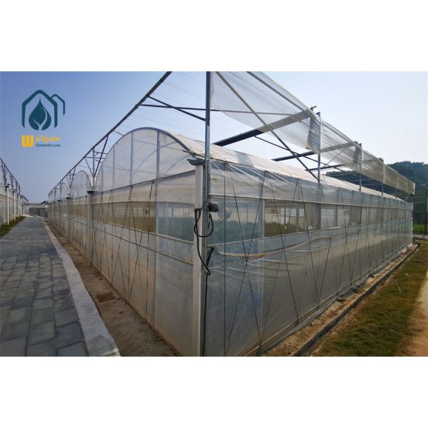 Internal Shading System Multi Span Greenhouse with Retractable 50-90 Percent Shade Net...