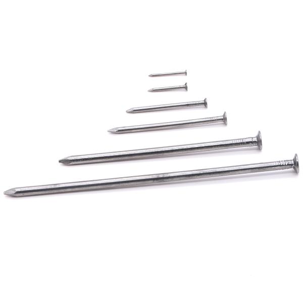 Собственная личность крепежных деталей Q195 нержавеющей стали De Clous выстукивая настилающ крышу винты