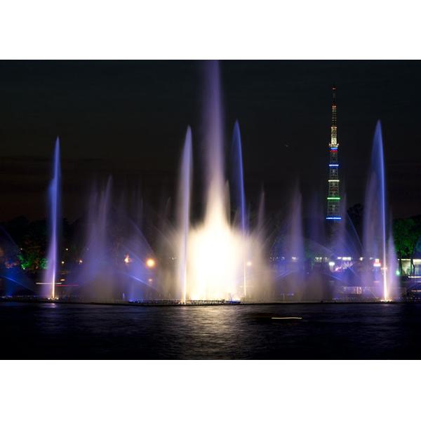Modern Saudi Arabia Riyadh Music Dancing Fountain With Colourful Light