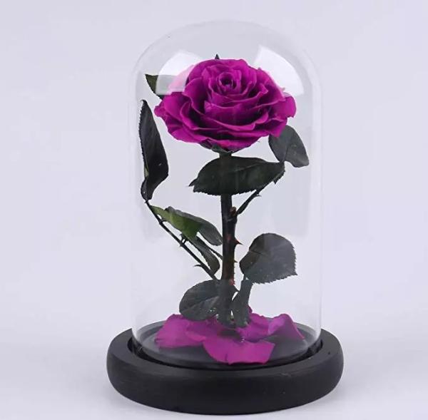 Preserved Rose Long life Glass Cover Preserved Real Fresh Forever Rose in Glass Preserved Flowers