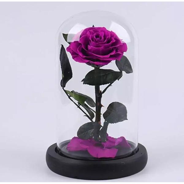 2019 Christams Gift Preserved Flower Forever Rose In Flask On Sale