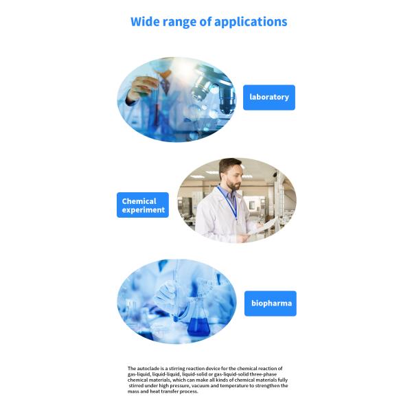 Не поднимаясь тип автоклав нагрева электрическим током танка реактора гидрогенизации нержавеющей стали
