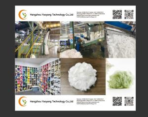 Hangzhou Yaoyang Technology Co.,Ltd