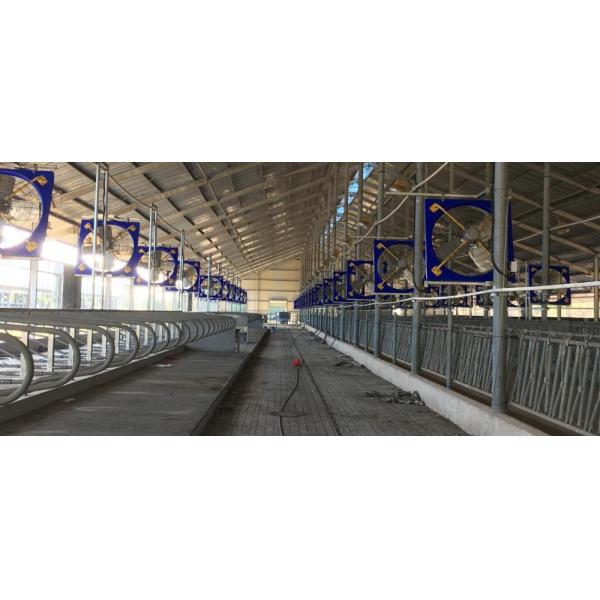 Sistema de refrigeración por agua Ventilador de escape industrial EC o DC Ventilador de aves de corral de motor