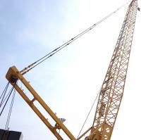 Faire face à un terrain complexe Les grues à ramper 220T à vendre