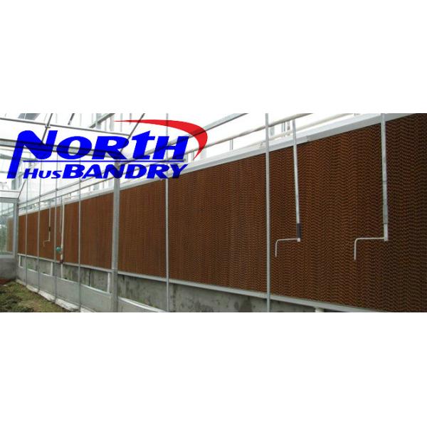 injection of poultry