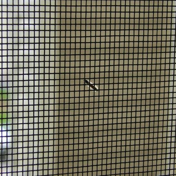 18x18 Mosquito Net Fiberglass Window Door Insect Screen Mesh Roll Anti Rust