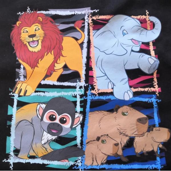 Горячий крен фильма переноса корки DTF для принтера Epson I4720 I3200