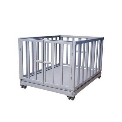 1000lb Livestock Weighing Scales