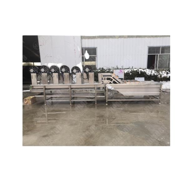 Avocado washing pulping machine,avocado mango destoner pitter,avocado tomato concentrate juice processing line