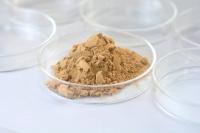 Enzyme industrielle, enzyme du biogaz
