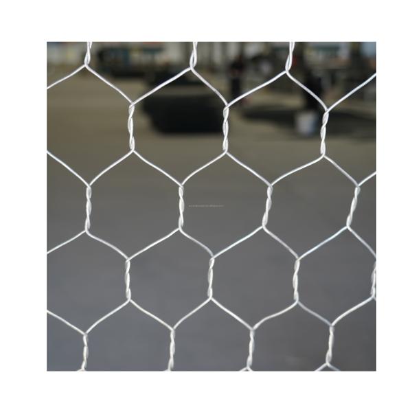 Customized 2*1*1m Galvanized PVC Coated Gabion Boxes for Protecting Retaining Walls