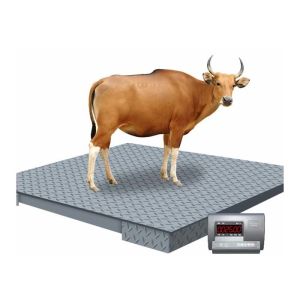 1.5*1.5m масштабы промышленного пола 3 тонн веся