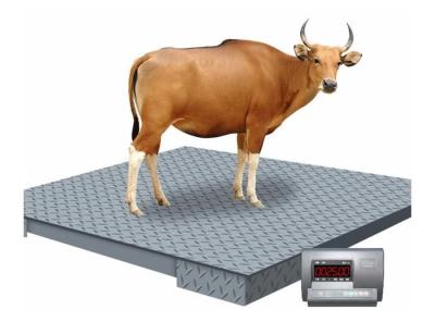 1.5*1.5m 3 Ton Industrial Floor Weighing Scales