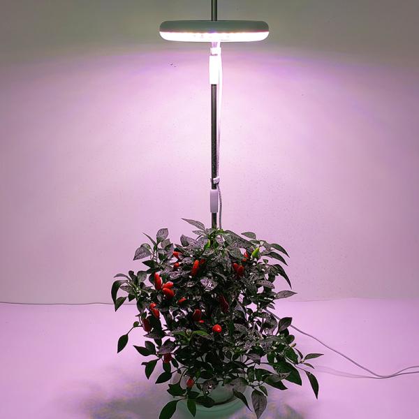 лампа 4000k роста СИД высоты 9W регулируемая для крытого завода стола