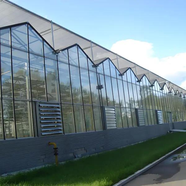 Cultiver en serre des fraises en verre Venlo commercialisé