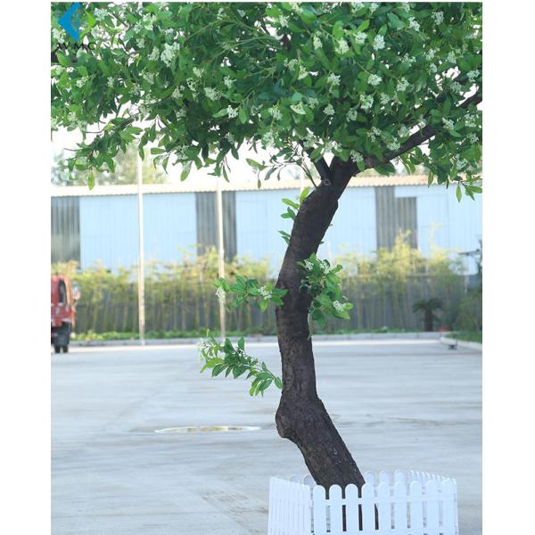 Custom Size Artificial Tree Plant , Lobby Decoration Use Fake Osmanthus Tree