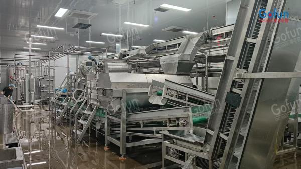 Industrial Berry Juice Processing Line for Jam Production 20-1500T/Day