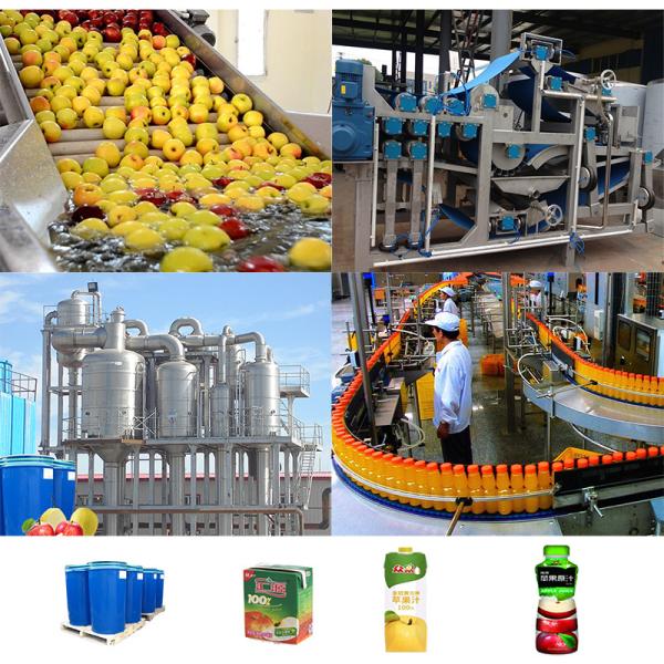 Multi-Product Apple Processing Machinery Turnkey Plant with 5-50T/H Custom Capacity