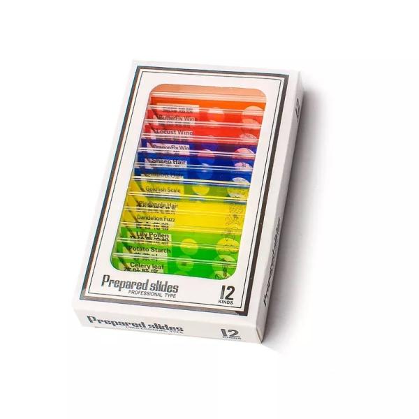 12pcs Children Customized Colorful Plastic Microscope Slides Used For Homeschool Teaching