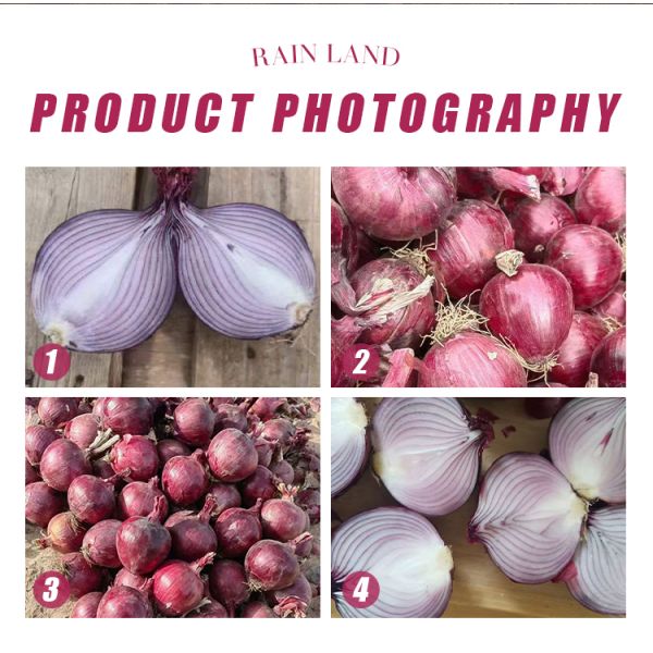 Wholesale Organic 5-8 cm Fresh Red Onion High Demand Agricultural Product with Best Price