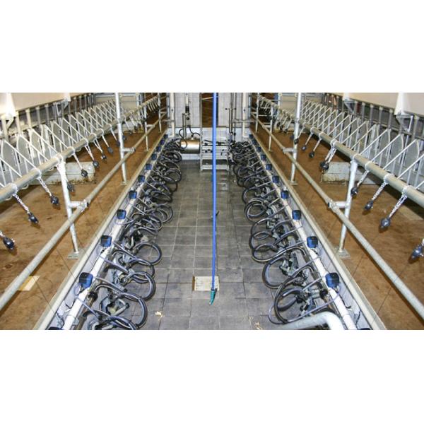 Алюминиевое стекло из сплава металлического металла Конструкция помещения для фермы козов Стальная конструкция Дом для овец Приют PKPM Рисунок