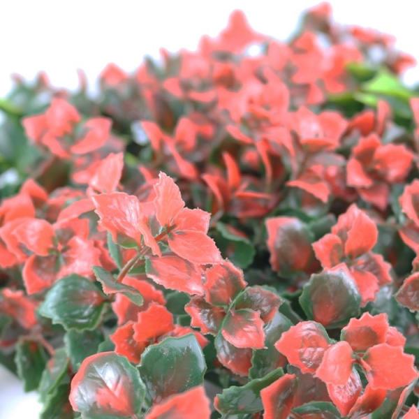 Decoration Artificial Greenery Encrypted Plastic Flower Wall For Home Decoration