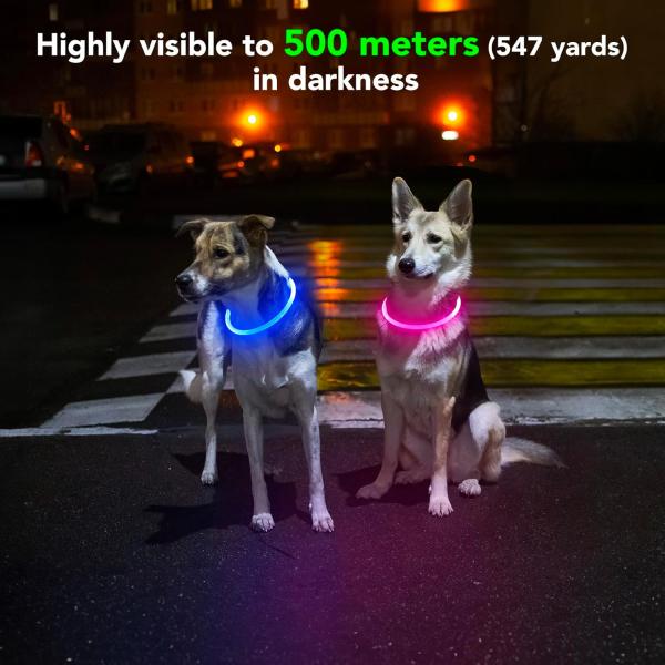 USB Rechargeable Waterproof Dog Collar for Night Walking and Training Solid Pattern