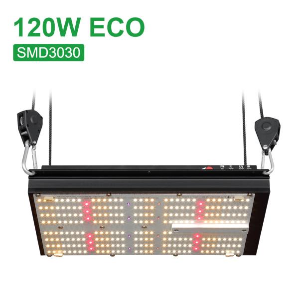motorista UV de Sosen da placa do quantum do diodo emissor de luz de 120W Epistar 3000k 5000k
