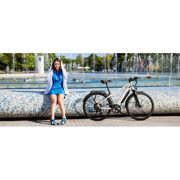 C622 500W Electric City Bike 48V Lithium Electric Mountain Bike with Lithium Battery Carbon Steel Frame 7-Speed Brushless Motor