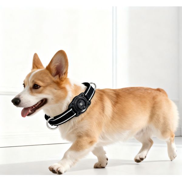 Find My Dog GPS Navigator Collar Real Time Tracking Waterproof Reflective Soft Padded Durable Plastic 3 Year Battery Life