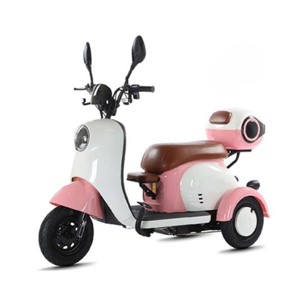 China Factory sale Electric Tricycle  Adult Delivery