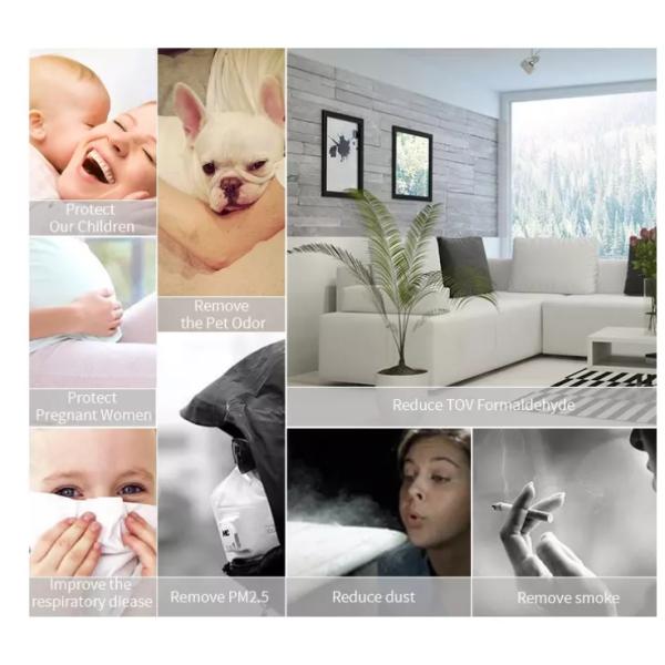 PM2.5 Remover Wearable Air Purifier Negative Ion Air Freshener Necklace