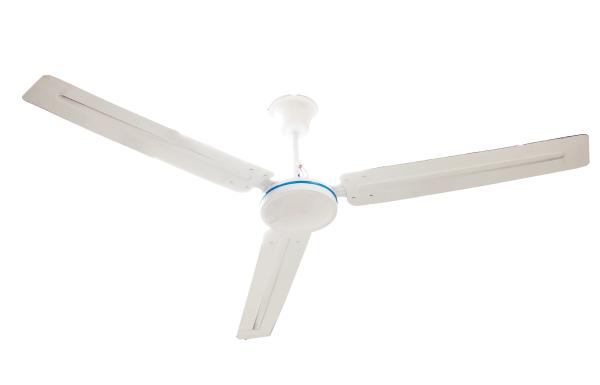 Home Decorative Blade Ceiling Fan 56 Inch 12V DC Remote Control