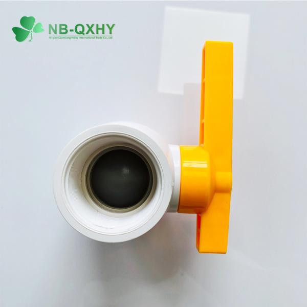 Kinds of Handle Choose QX Supply Service Duluex Octagonal Ball Valve in Pakistan
